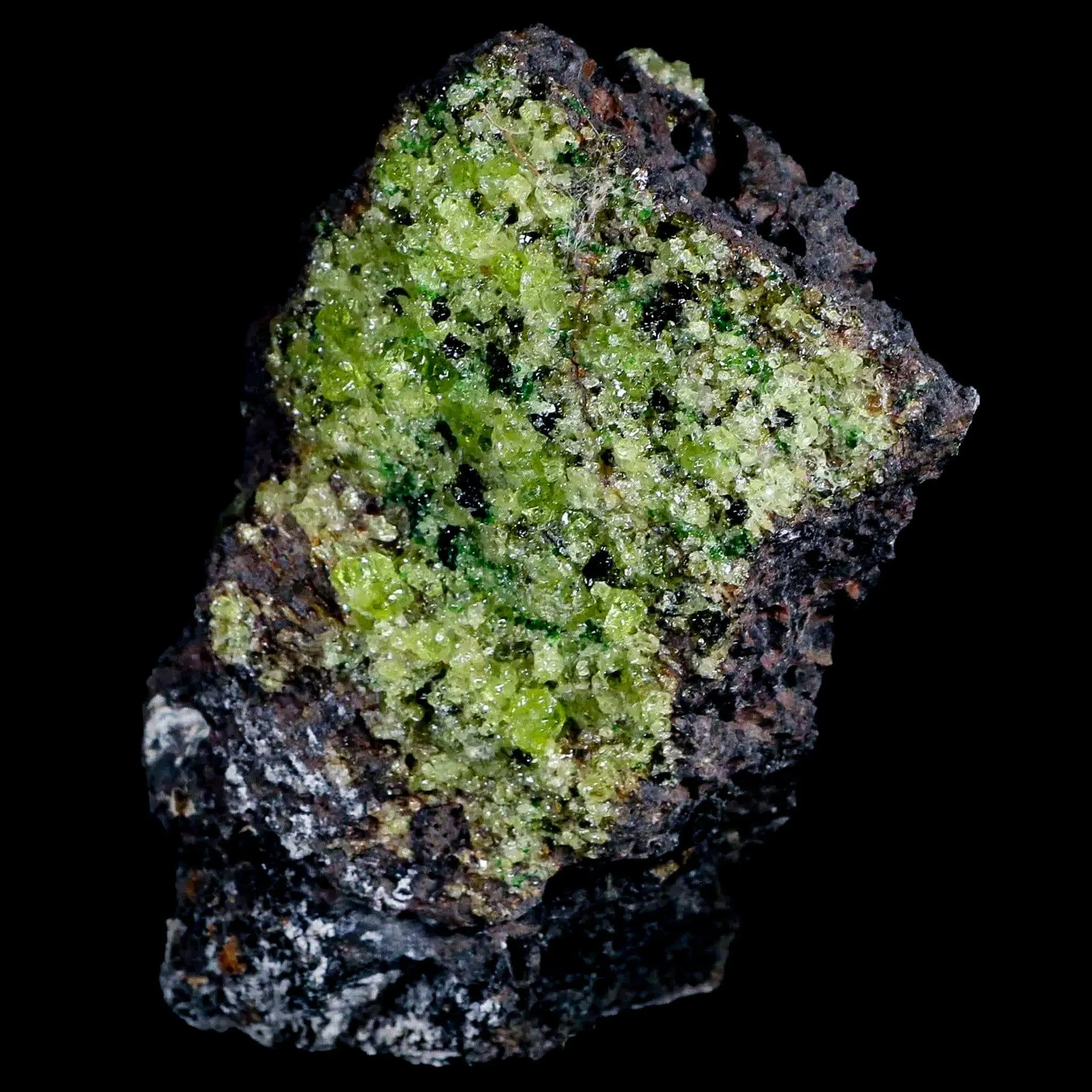 3.7" Emerald Peridot Crystals, Chrome Diopside And Spinel On Volcanic Rock Gila, AZ
