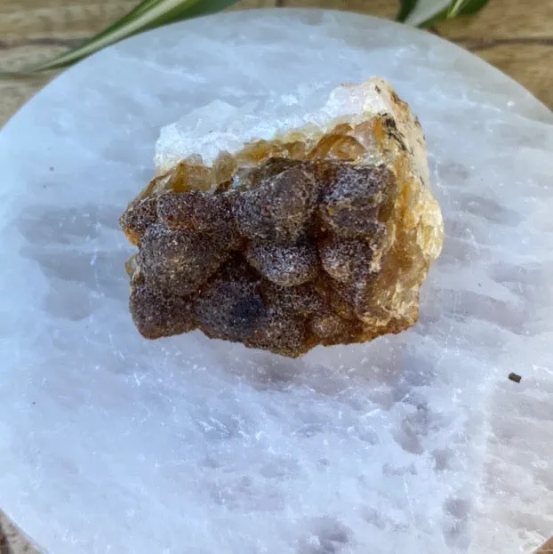Citrine Cluster Raw Crystal Rock Specimen