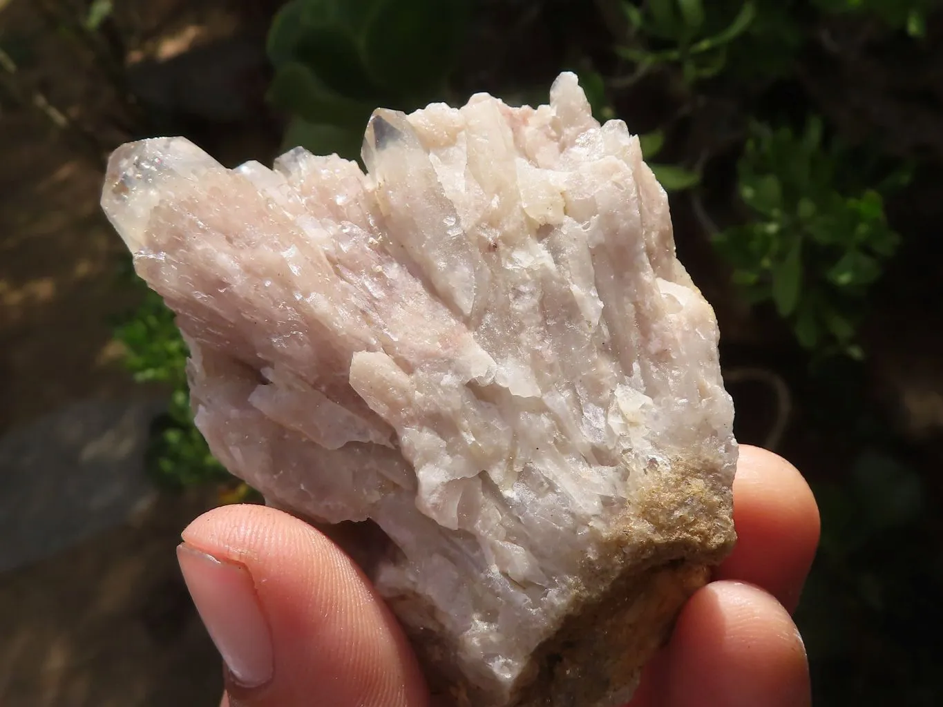 Natural Cascading White Phantom Quartz Clusters x 12 From Luena, Congo