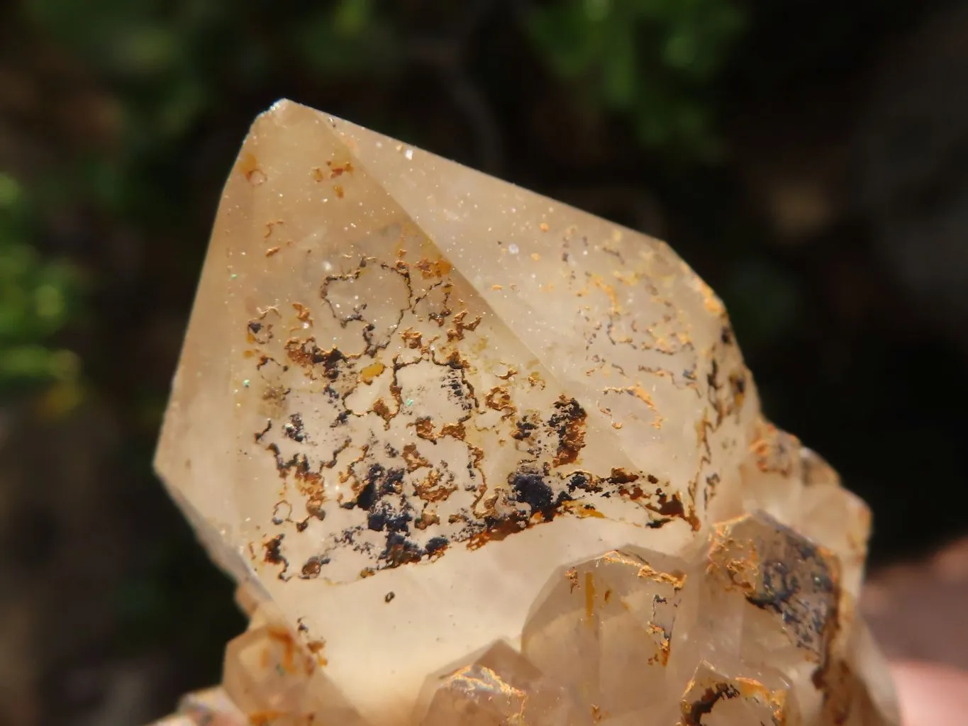 Natural Cascading White Phantom Quartz Clusters x 12 From Luena, Congo