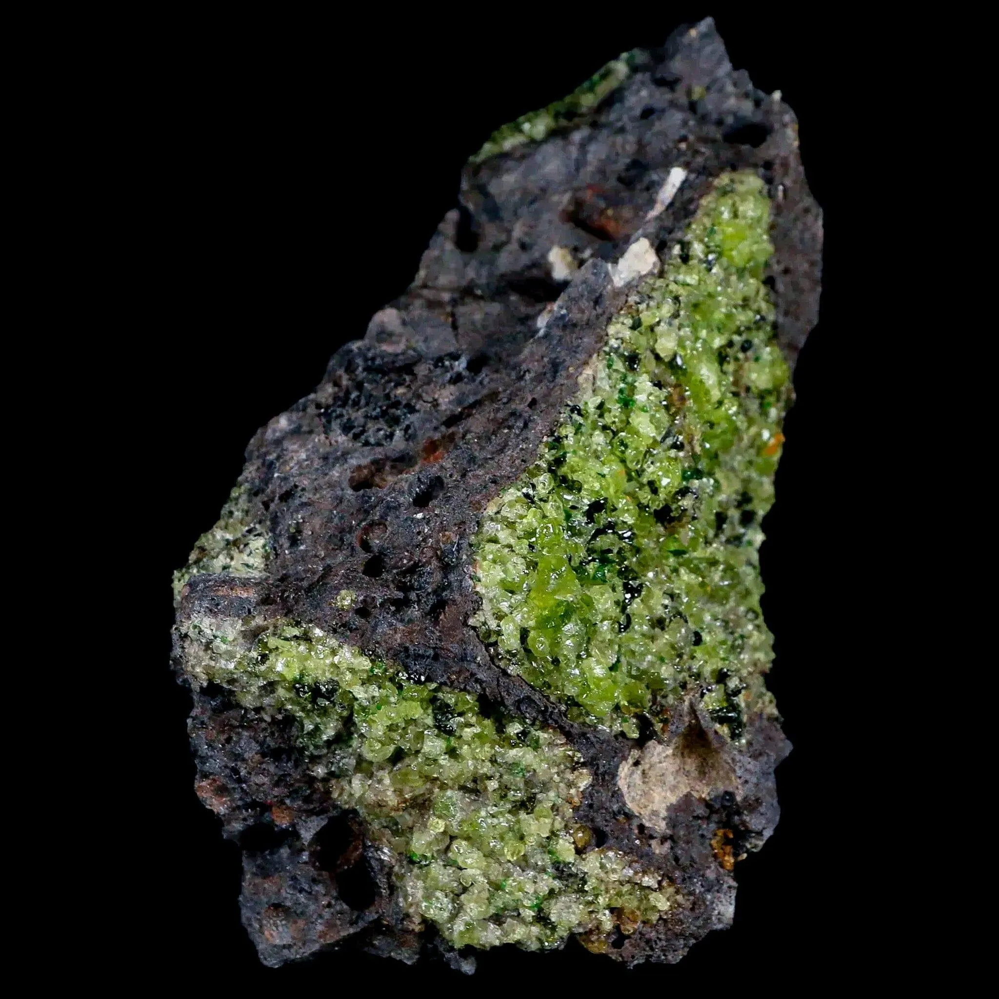 XL 4.3" Emerald Peridot Crystals, Chrome Diopside And Spinel On Volcanic Rock Gila, AZ